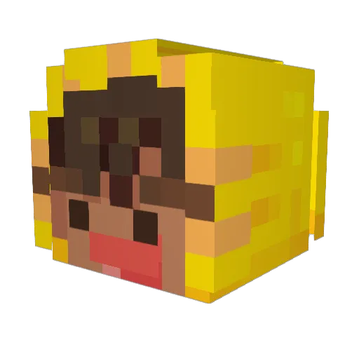 Lant0323 Minecraft avatar head, 3D render