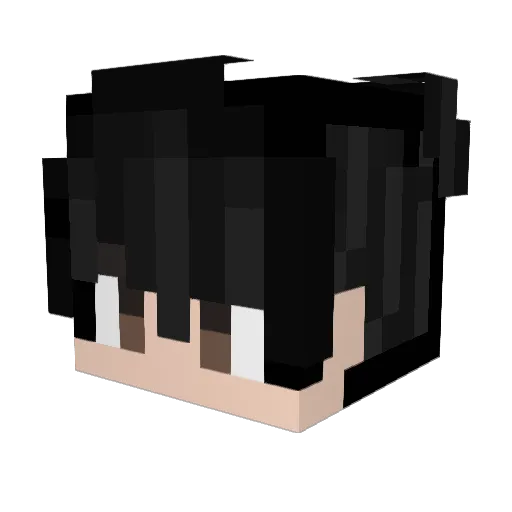 Lanurke Minecraft avatar head, 3D render