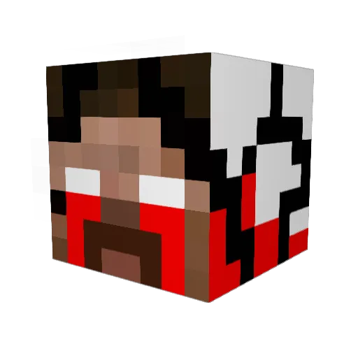 Lanyun1145 Minecraft avatar head, 3D render