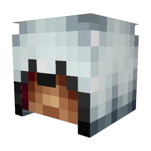 Lanzelord3 Minecraft avatar head, 3D render