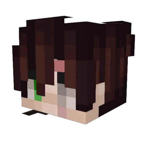 Lanzser2159 Minecraft avatar head, 3D render