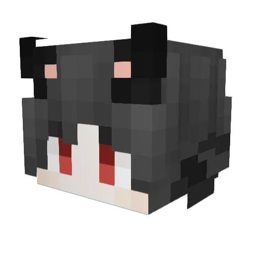 LaoLang998 Minecraft avatar head, 3D render