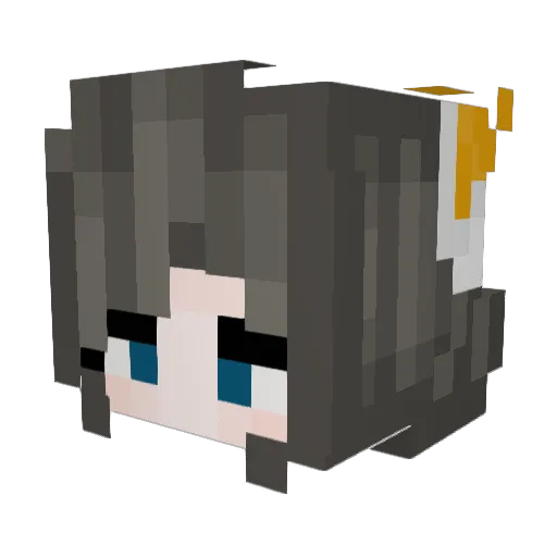 Laogirl2525 Minecraft avatar head, 3D render