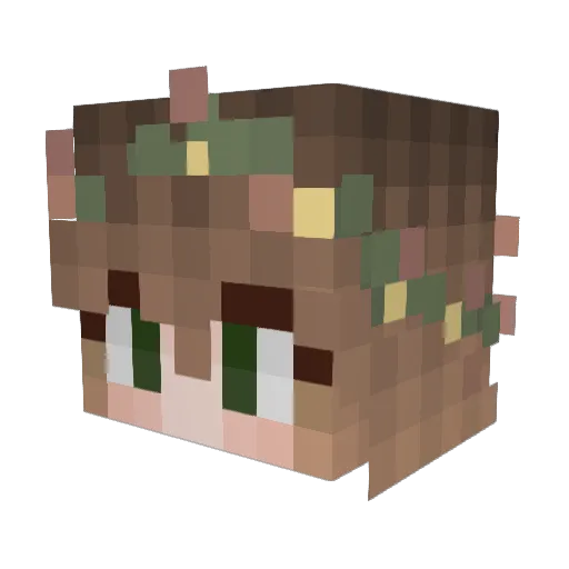Laomedeia Minecraft avatar head, 3D render
