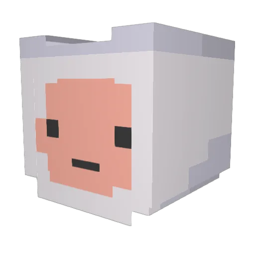 Laoswen Minecraft avatar head, 3D render