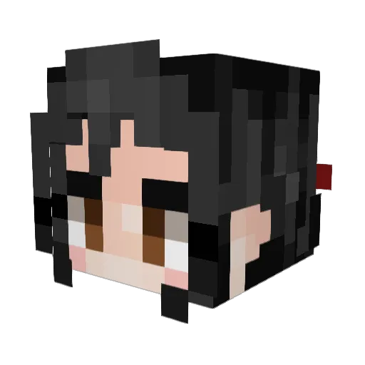 Lapaax Minecraft avatar head, 3D render