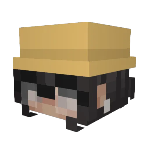 Lapiii Minecraft avatar head, 3D render