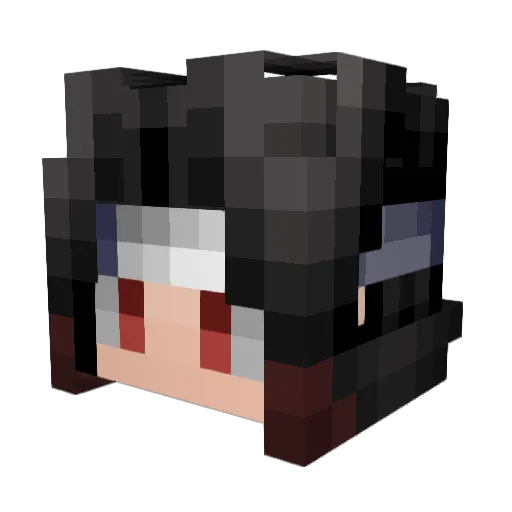 Lapino4 Minecraft avatar head, 3D render