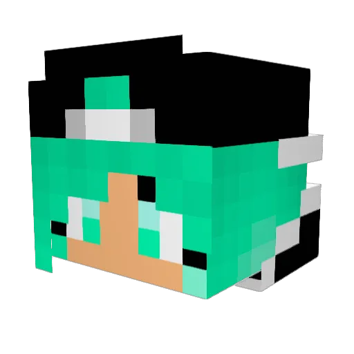 Lapis5956 Minecraft avatar head, 3D render