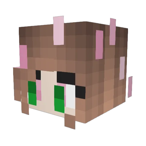 LapisLlama1001 Minecraft avatar head, 3D render