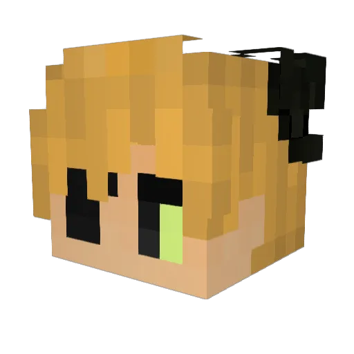 Lapis_Bird Minecraft avatar head, 3D render