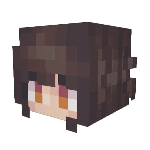 Lapis_Wool Minecraft avatar head, 3D render