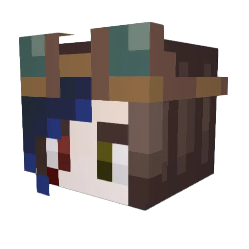 Lapiz101 Minecraft avatar head, 3D render