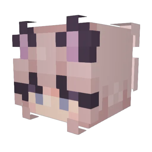 Laplander Minecraft avatar head, 3D render
