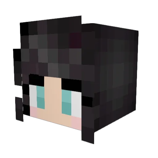 Lapluche Minecraft avatar head, 3D render