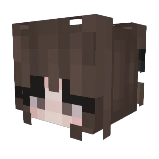 Lapogster06 Minecraft avatar head, 3D render