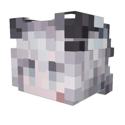 Lapp1land Minecraft avatar head, 3D render