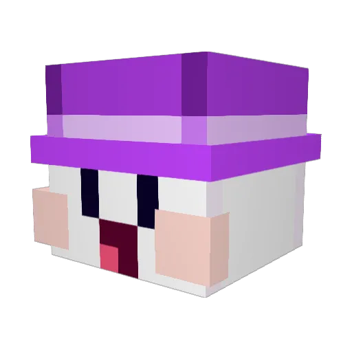 Lappi2849 Minecraft avatar head, 3D render