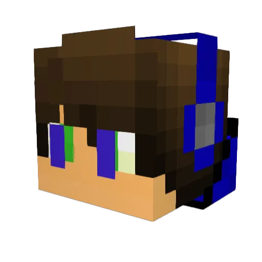 Lappi4 Minecraft avatar head, 3D render