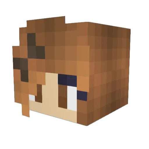 Lar9eFarva Minecraft avatar head, 3D render