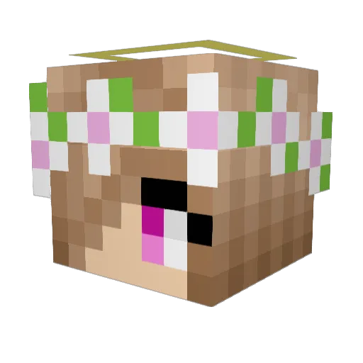 Lara0894 Minecraft avatar head, 3D render