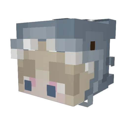 Lara1405 Minecraft avatar head, 3D render