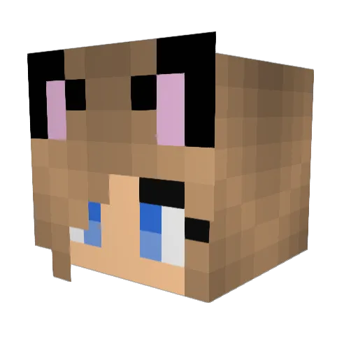 Lara2802 Minecraft avatar head, 3D render
