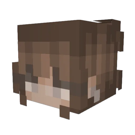 Lara9076 Minecraft avatar head, 3D render