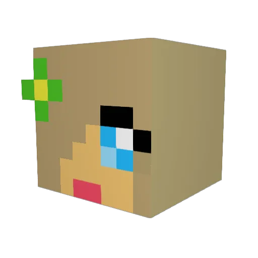 LaraEB Minecraft avatar head, 3D render