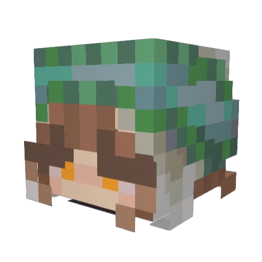 LaraWinter Minecraft avatar head, 3D render