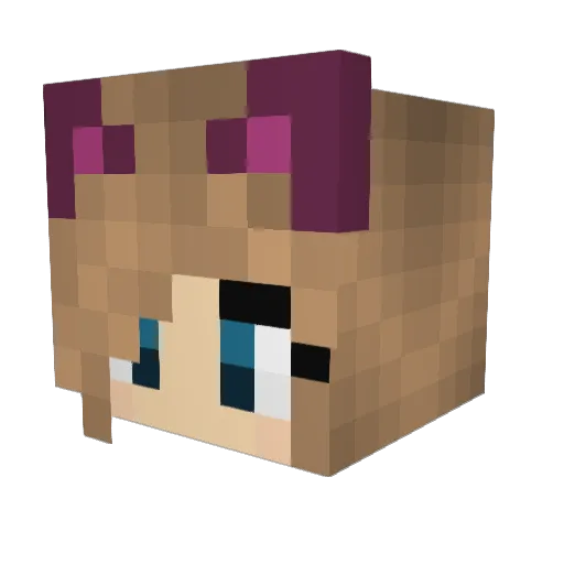 LaraYT Minecraft avatar head, 3D render
