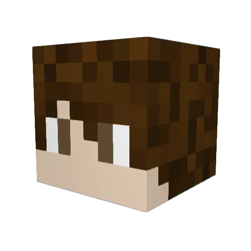 Larai420 Minecraft avatar head, 3D render