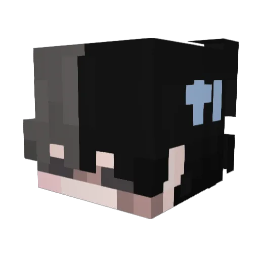 Laraniecola Minecraft avatar head, 3D render