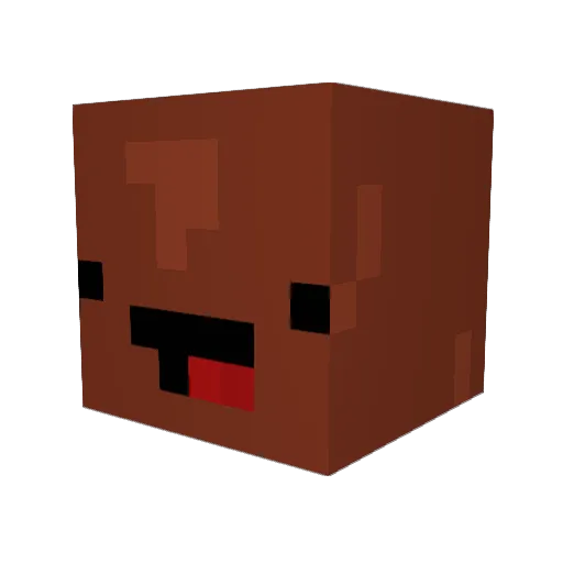 Lardis Minecraft avatar head, 3D render