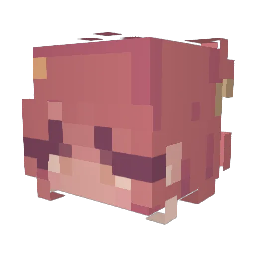 Larena488 Minecraft avatar head, 3D render