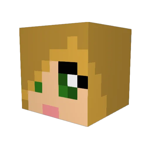 Lares11 Minecraft avatar head, 3D render