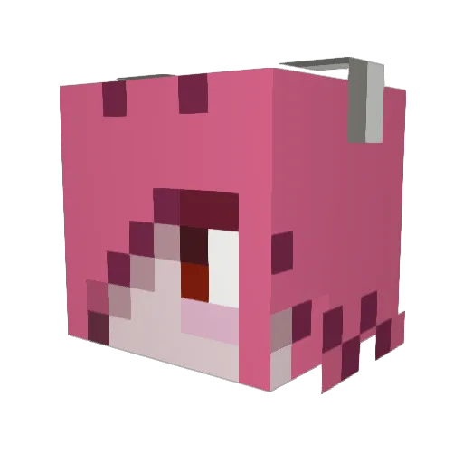 Lari_chan Minecraft avatar head, 3D render