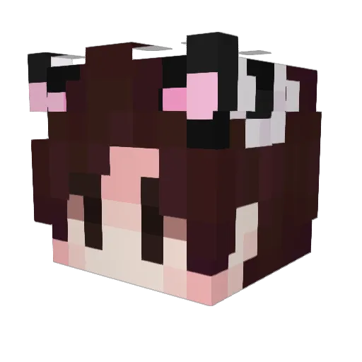 Larians Minecraft avatar head, 3D render