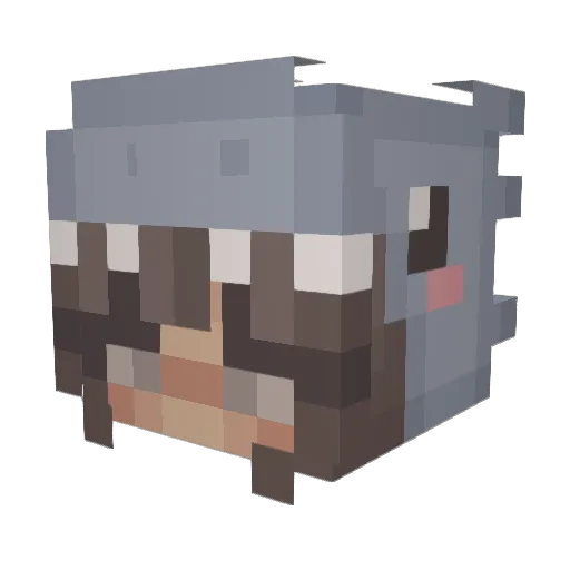 Larissa1307 Minecraft avatar head, 3D render