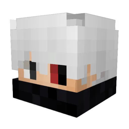LarissasTampon Minecraft avatar head, 3D render