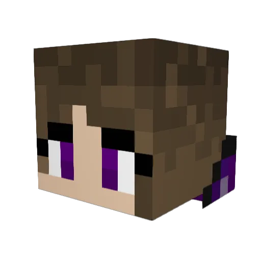 Larkyn Minecraft avatar head, 3D render