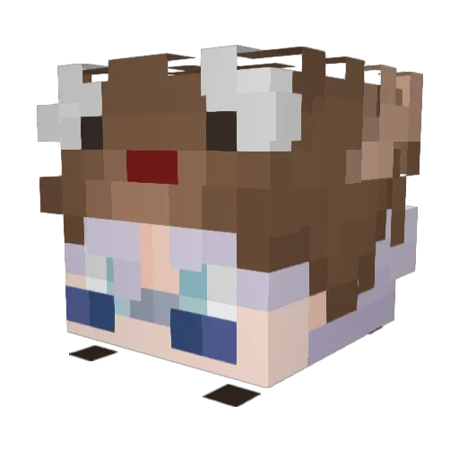 Larp_Camz_ Minecraft avatar head, 3D render