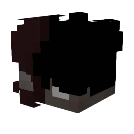 Larper19 Minecraft avatar head, 3D render