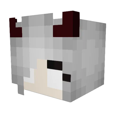 Larpin30 Minecraft avatar head, 3D render