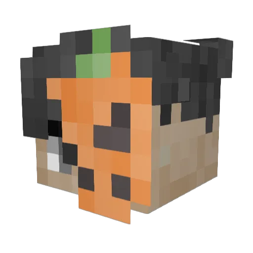 Larppa15 Minecraft avatar head, 3D render