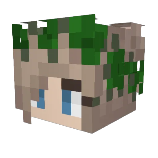 Larry0505 Minecraft avatar head, 3D render
