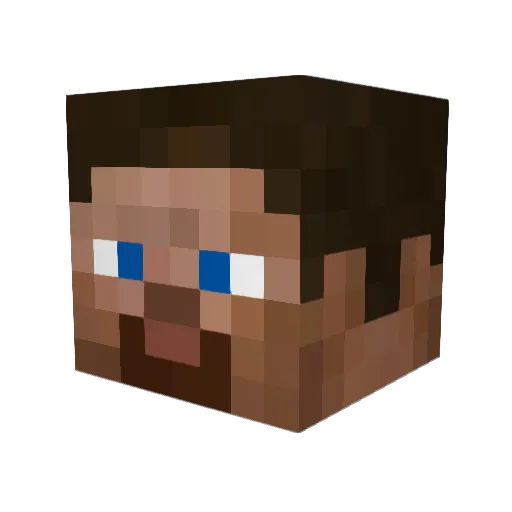 Larry2toes Minecraft avatar head, 3D render