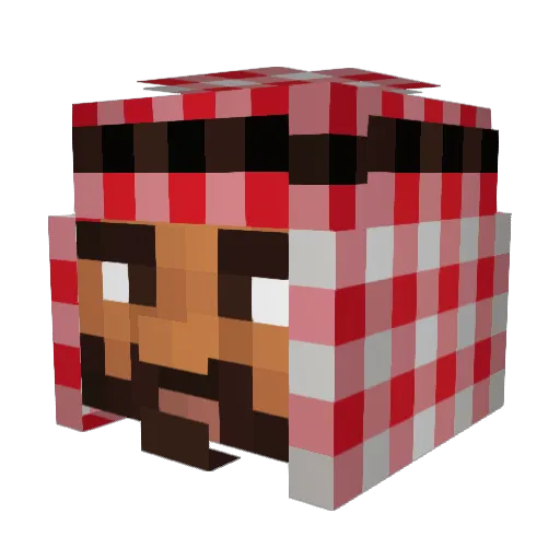Larry444 Minecraft avatar head, 3D render