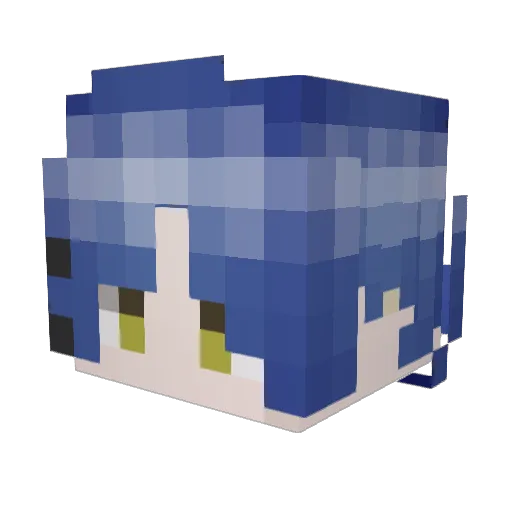 Larry673 Minecraft avatar head, 3D render