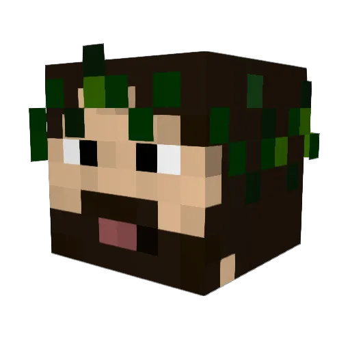 Larry92 Minecraft avatar head, 3D render